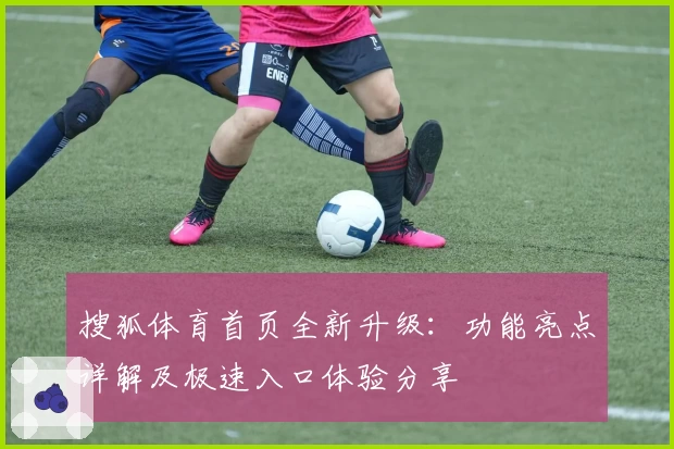 搜狐体育首页全新升级：功能亮点详解及极速入口体验分享