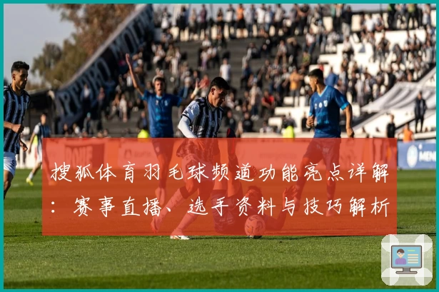 搜狐体育羽毛球频道功能亮点详解：赛事直播、选手资料与技巧解析一站汇总