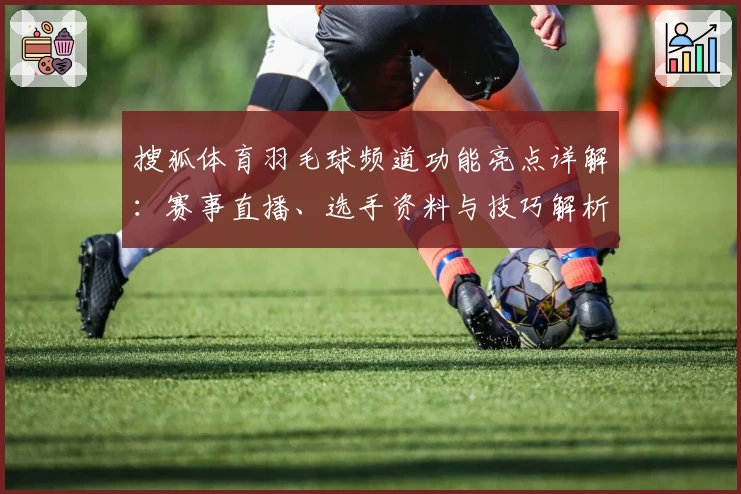 搜狐体育羽毛球频道功能亮点详解：赛事直播、选手资料与技巧解析一站汇总