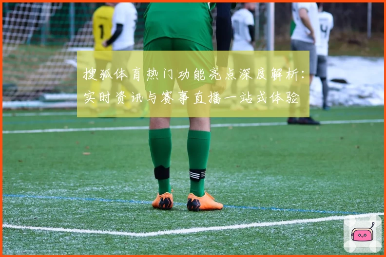 搜狐体育热门功能亮点深度解析：实时资讯与赛事直播一站式体验