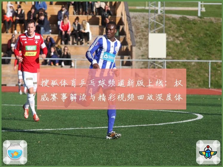 搜狐体育乒乓球频道新版上线：权威赛事解读与精彩视频回放深度体验指南