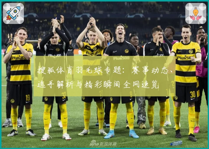 搜狐体育羽毛球专题：赛事动态、选手解析与精彩瞬间全网速览