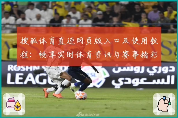 搜狐体育直连网页版入口及使用教程：畅享实时体育资讯与赛事精彩