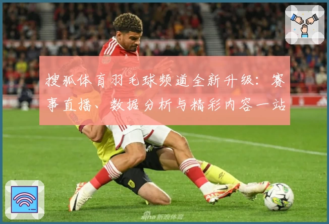 搜狐体育羽毛球频道全新升级：赛事直播、数据分析与精彩内容一站直达！