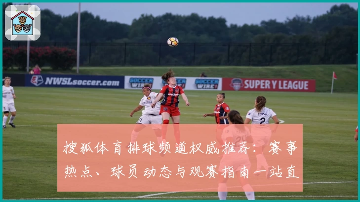 搜狐体育排球频道权威推荐:赛事热点、球员动态与观赛指南一站直达